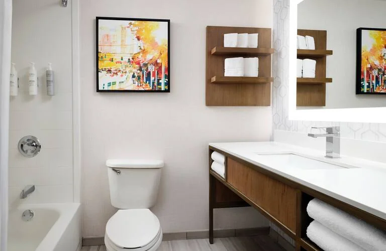 detroit-hgi-room-918-bathroom-v2